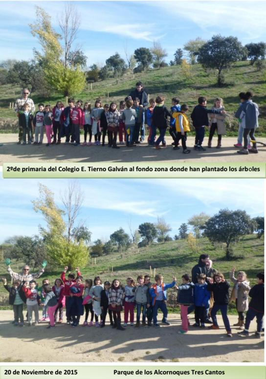 Plantación con alumnos del Colegio Tierno Galván – 20 de Noviembre 2015