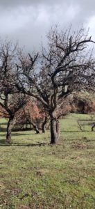 Paisaje durante el Biomaratón de otoño 2025