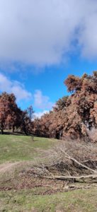 Paisaje durante el Biomaratón de otoño 2025